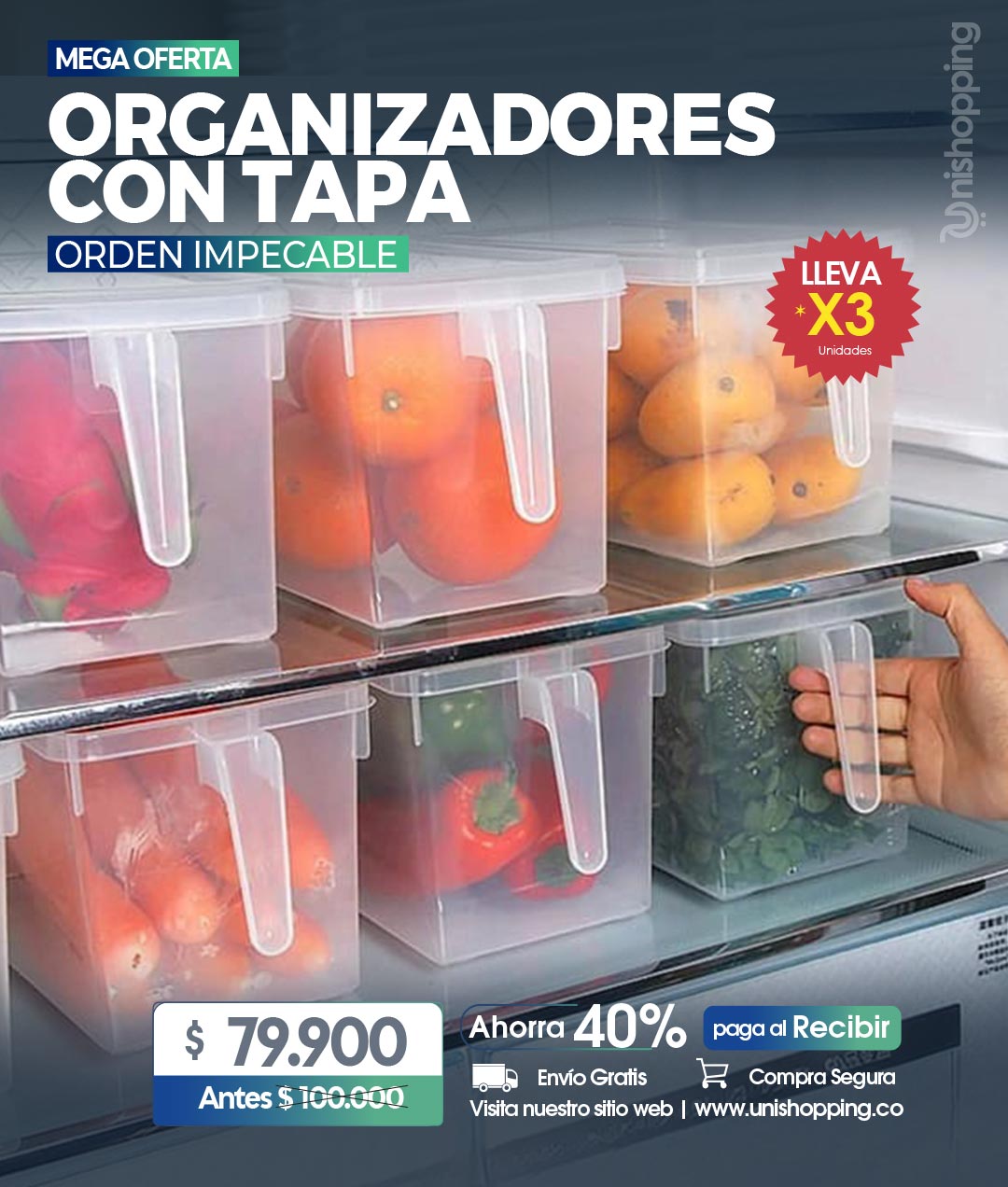 Organizador con tapa y manija