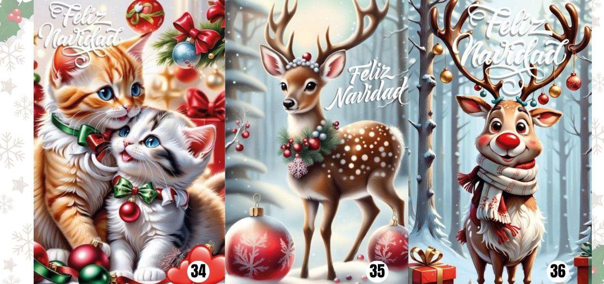 🎅 Fundas/ Forros Puertas Navideñas🎄