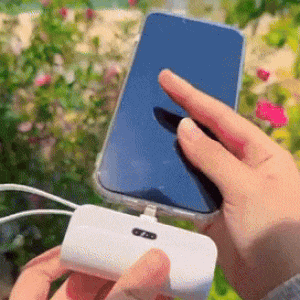 🔋✨Power Bank Light ⚡Entrada Tipo-C & iPhone🍎